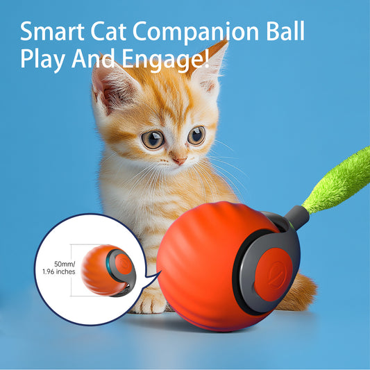 2025 Smart Interactive Cat Ball,Type-C Rechargeable Interactive Cats Toy
