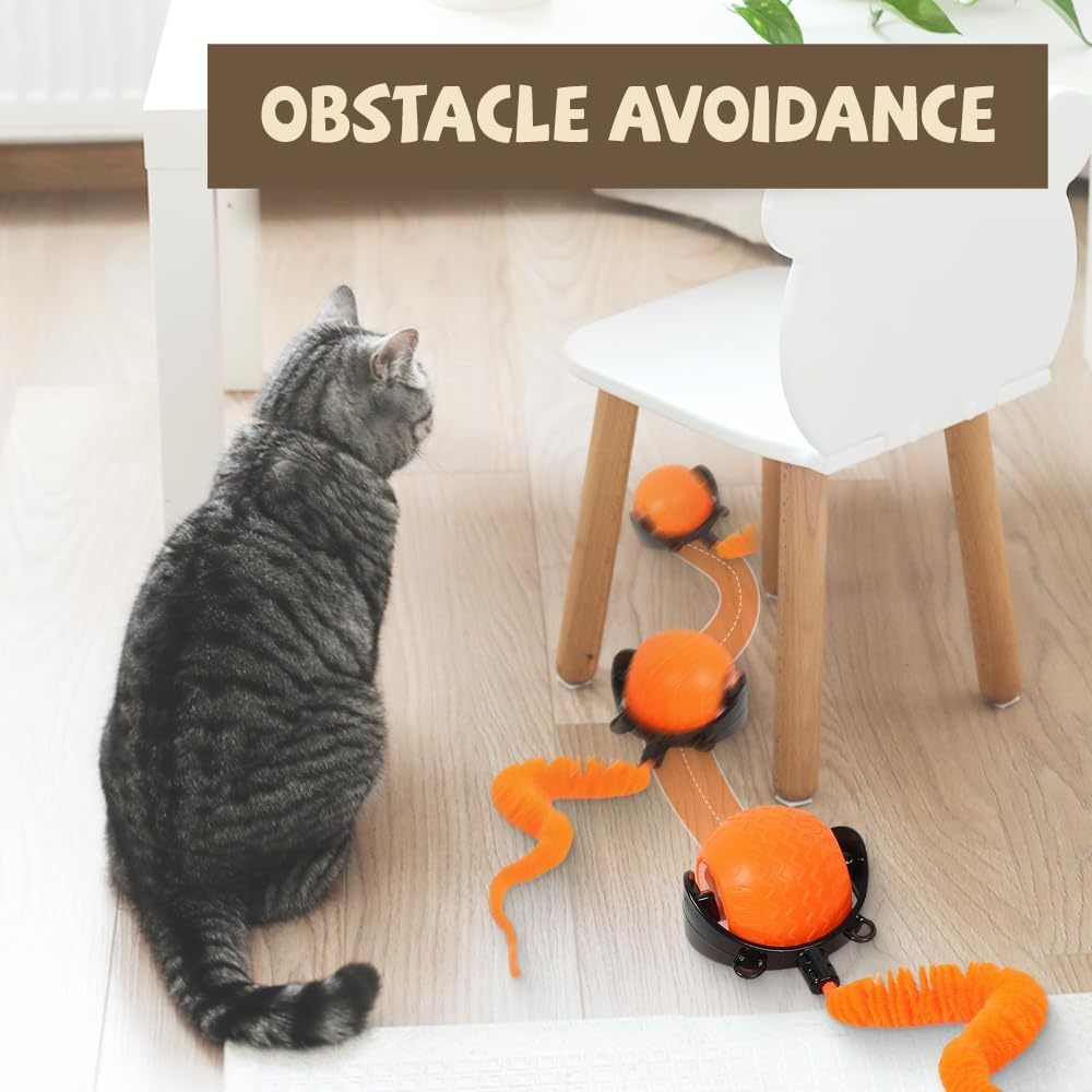 Interactive Cat Ball Toy, 2025 New Cat Ball Toys With Cord  Mouse