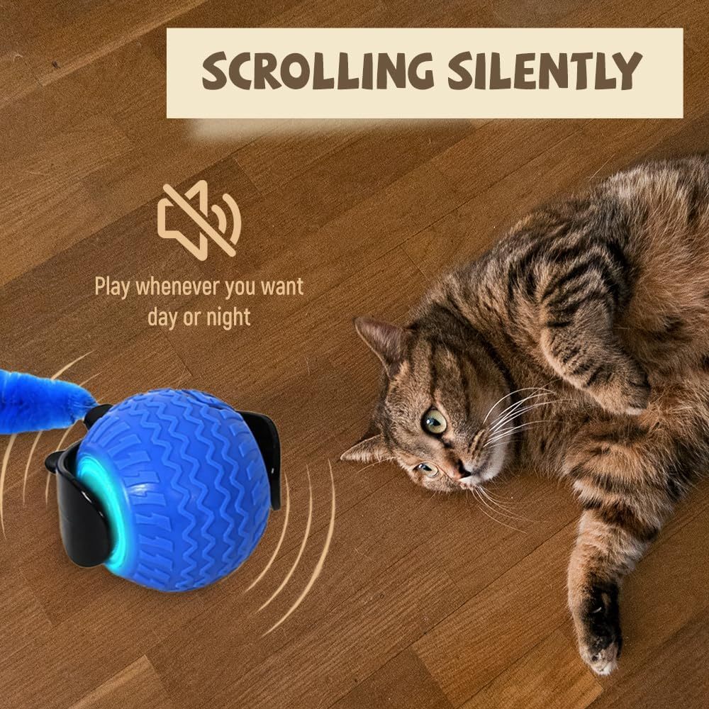 Interactive Cat Ball Toy, 2025 New Cat Ball Toys With Cord  Mouse
